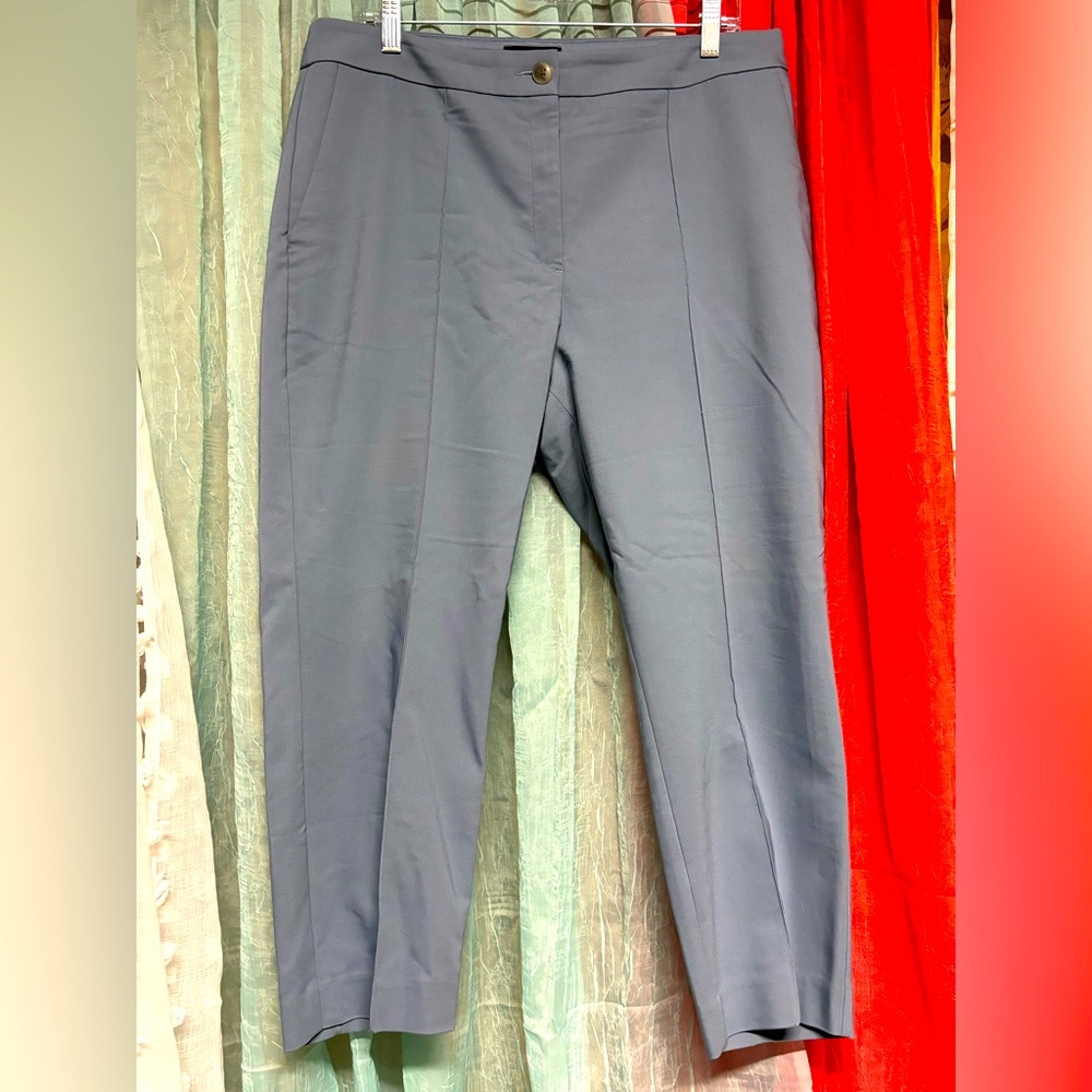 Excellent condition Express ankle pants